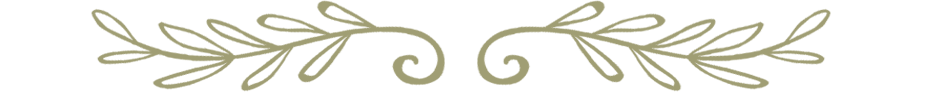 Виньетка2.png