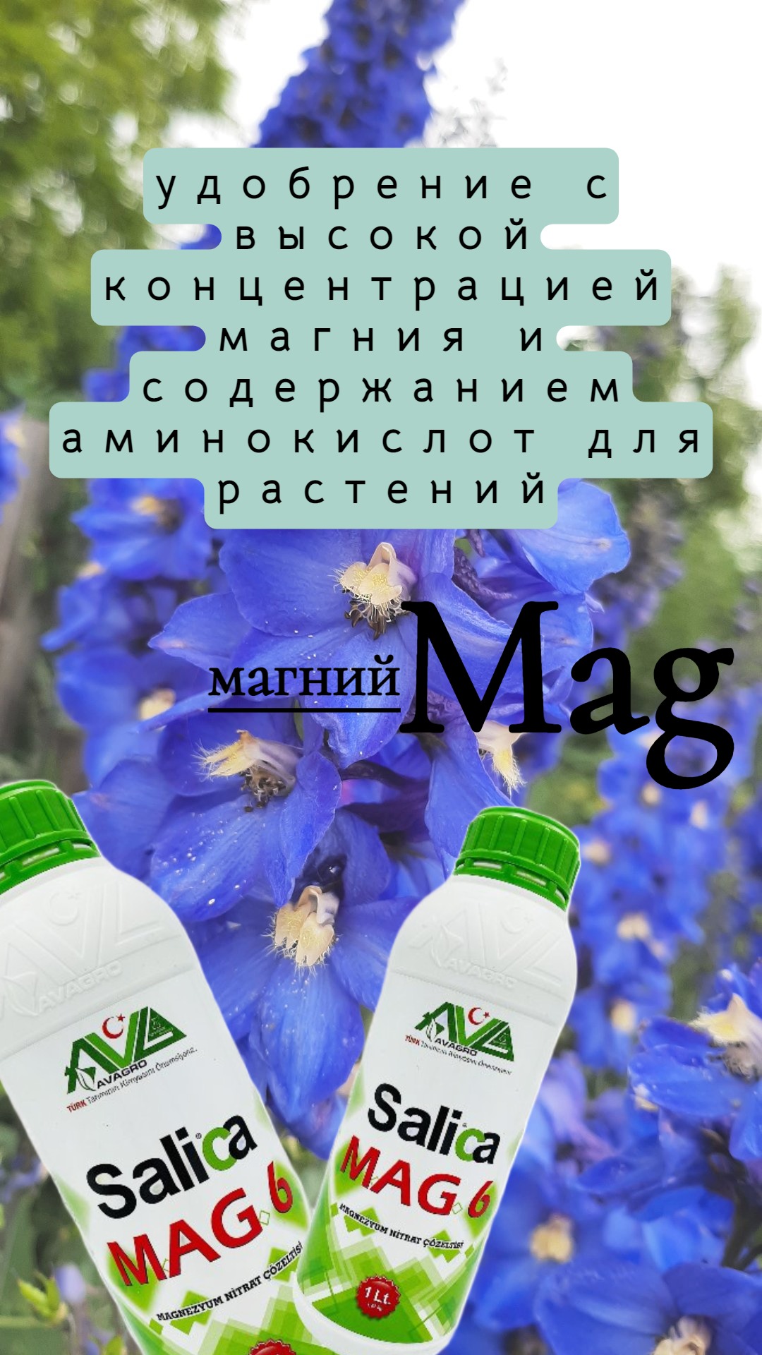 магний