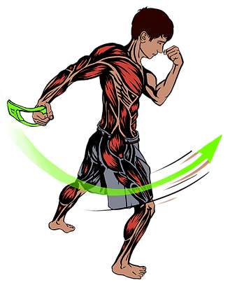 1 1.png