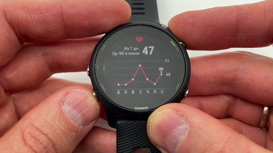 Garmin-Forerunner-255-obzor-41.jpg