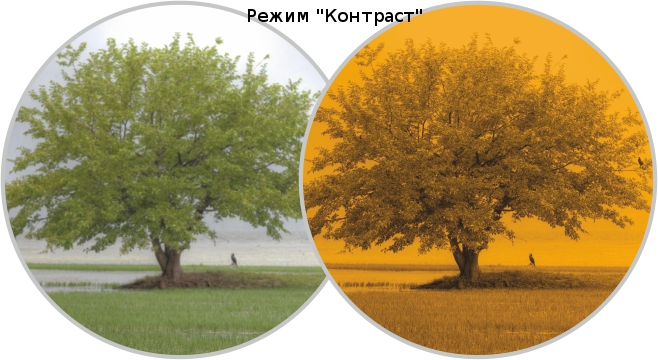 expert_viewing_modes_contrast_mode.jpg