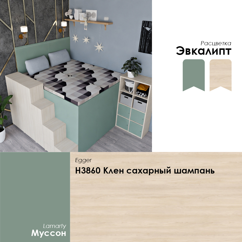 Эвкалипт.jpg