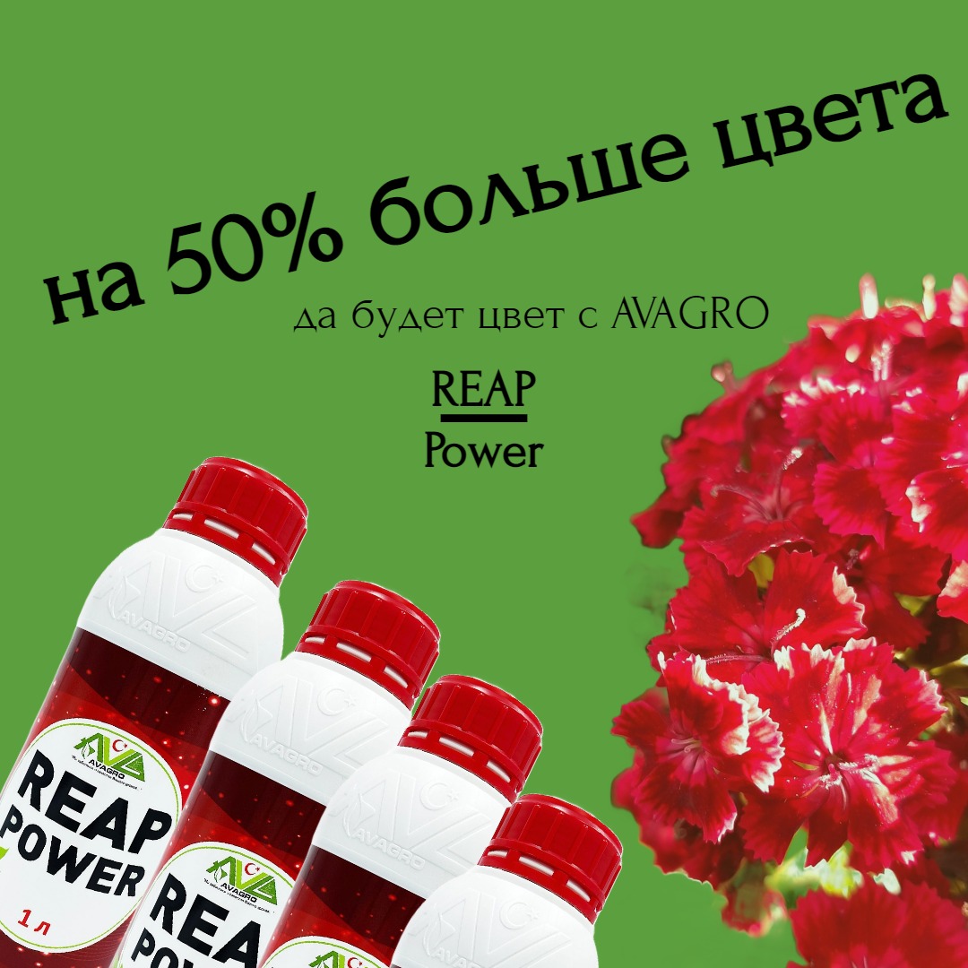 удобрение для цветения удобрение для цветения