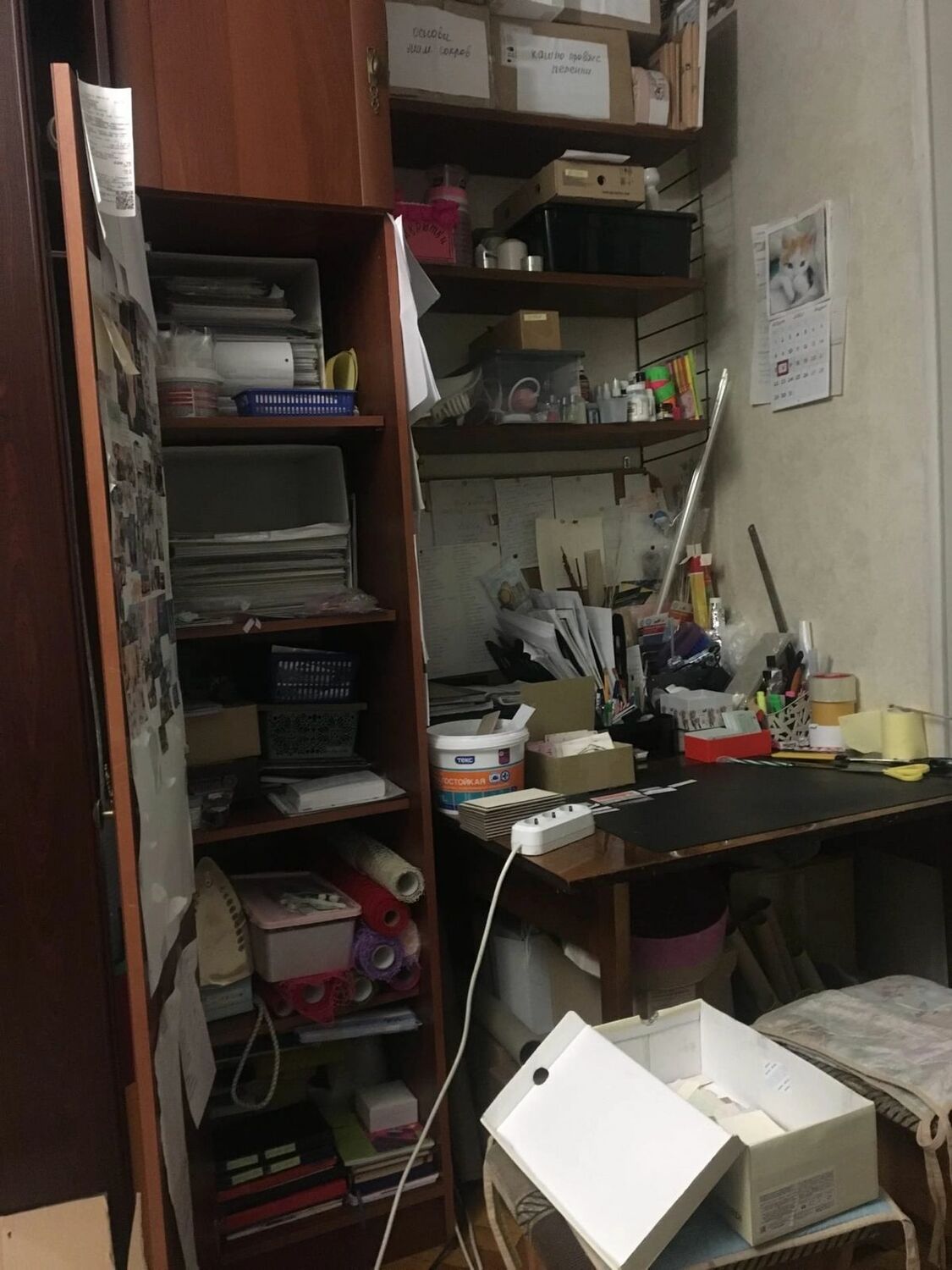 История 0822241. &laquo;Исчезновение свободного пространства в нашей квартире&raquo;. 2.jpeg