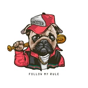 Принт с мопсом Follow my rule