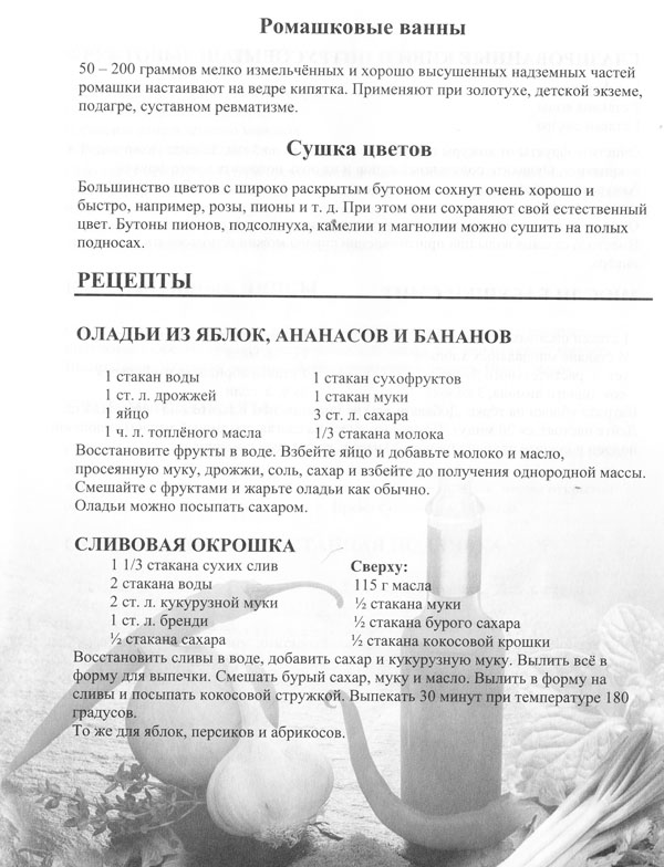 receptu9-2.jpg
