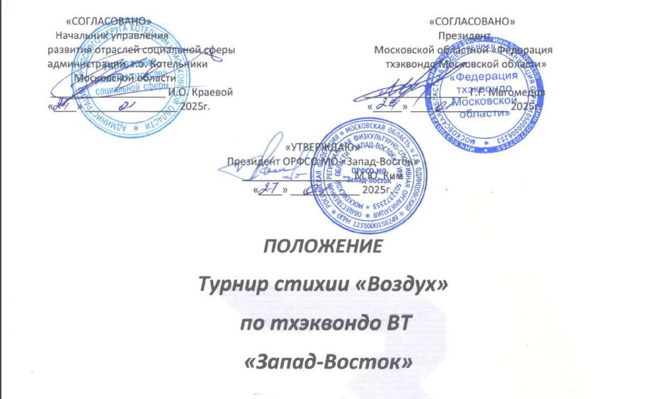 Лого Турнир Стихии Воздух.jpg