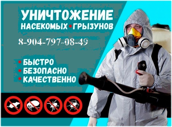 Уничтожение насекомых и грызунов