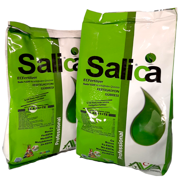 Salica Salica