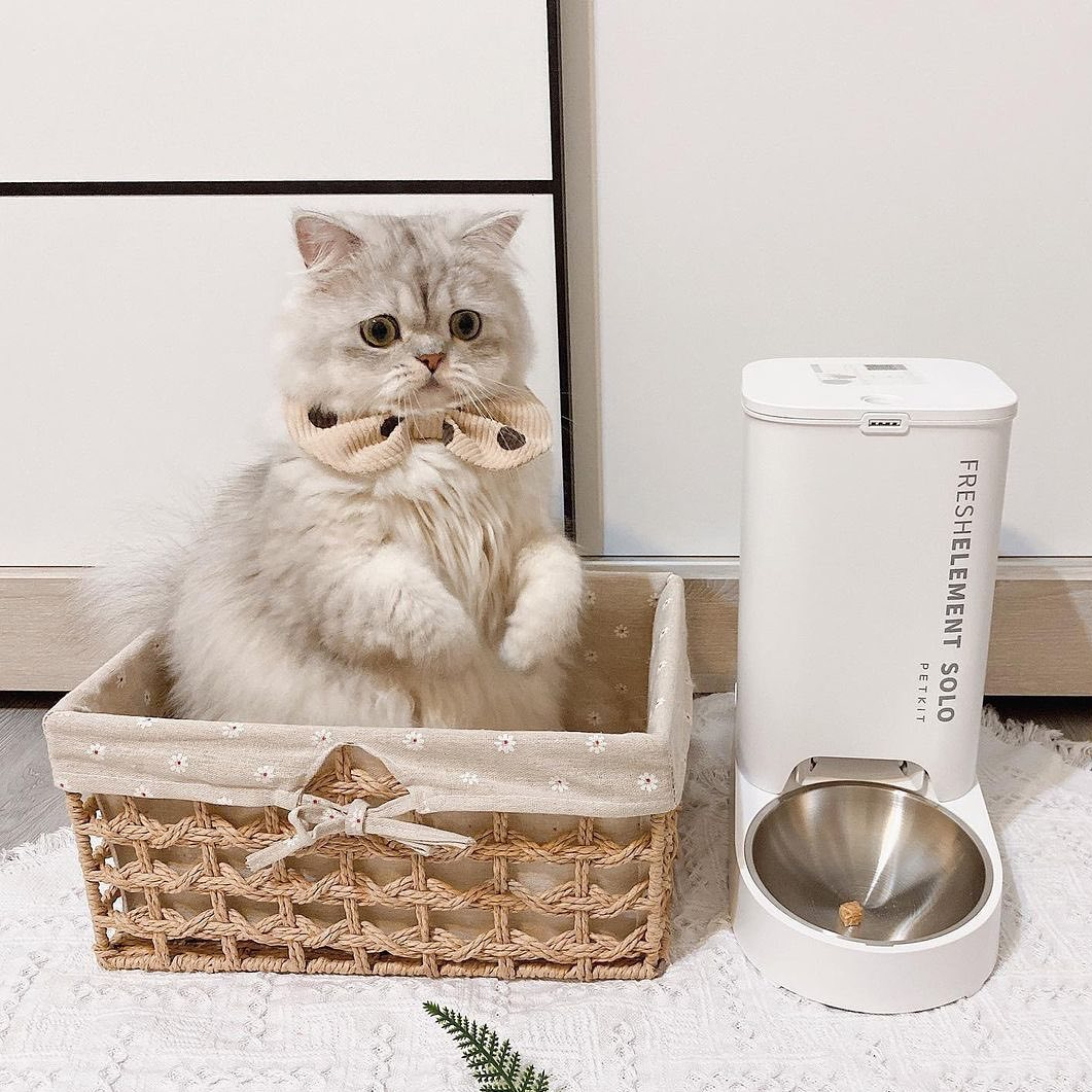 кормушка SOLO бел
