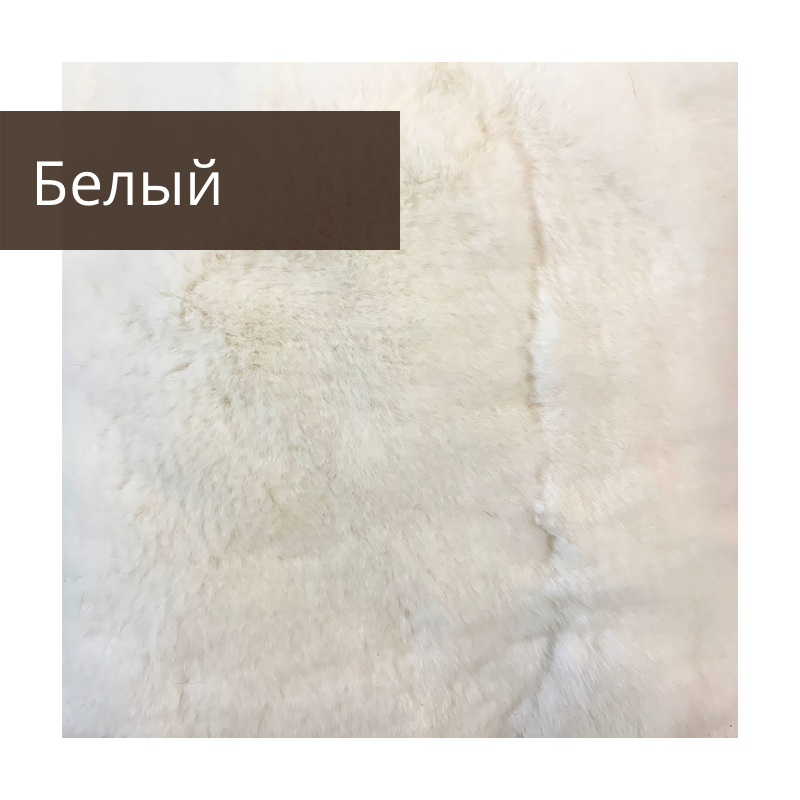 untitled image