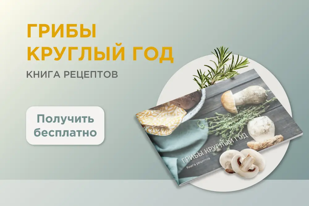 Способы заготовки грибов