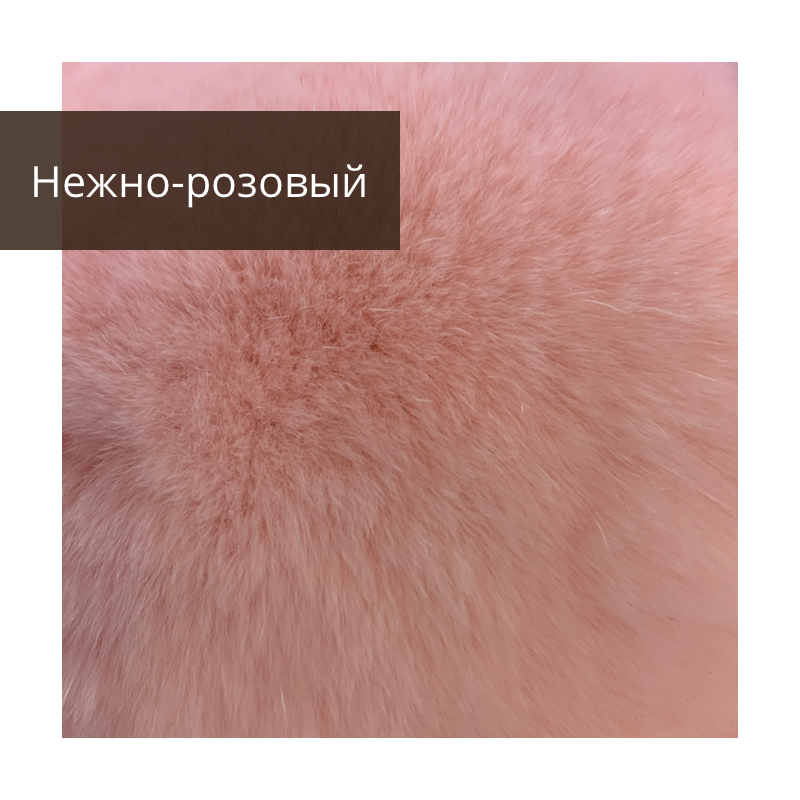 untitled image