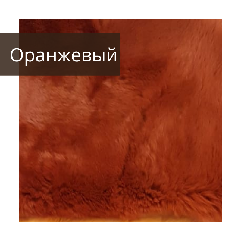 untitled image