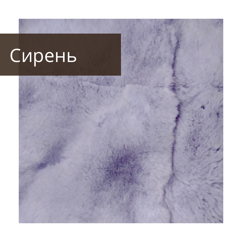 untitled image