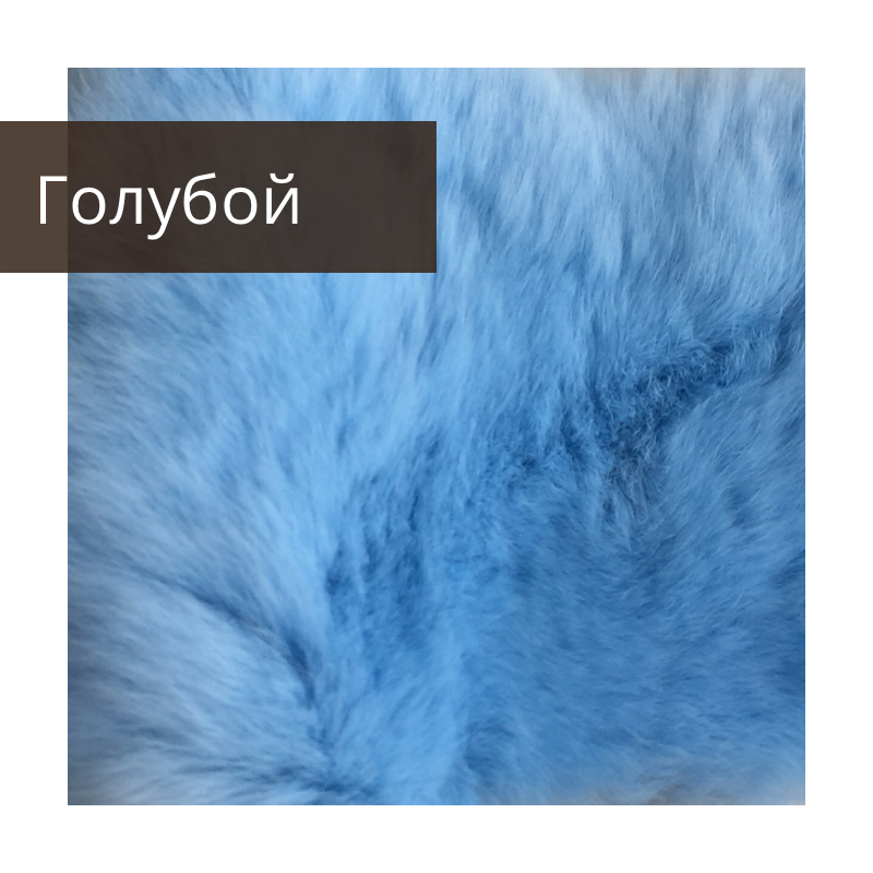 untitled image