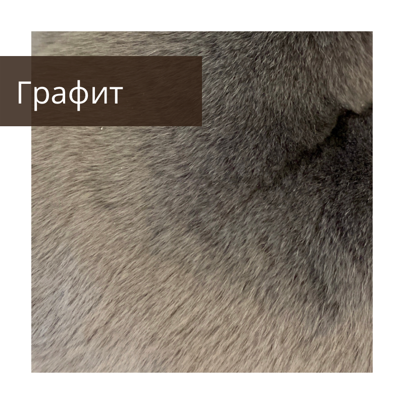 untitled image