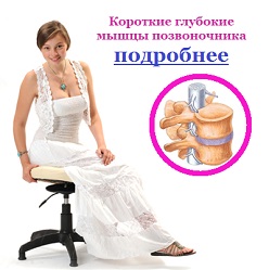 Тренирует мышцы спины
