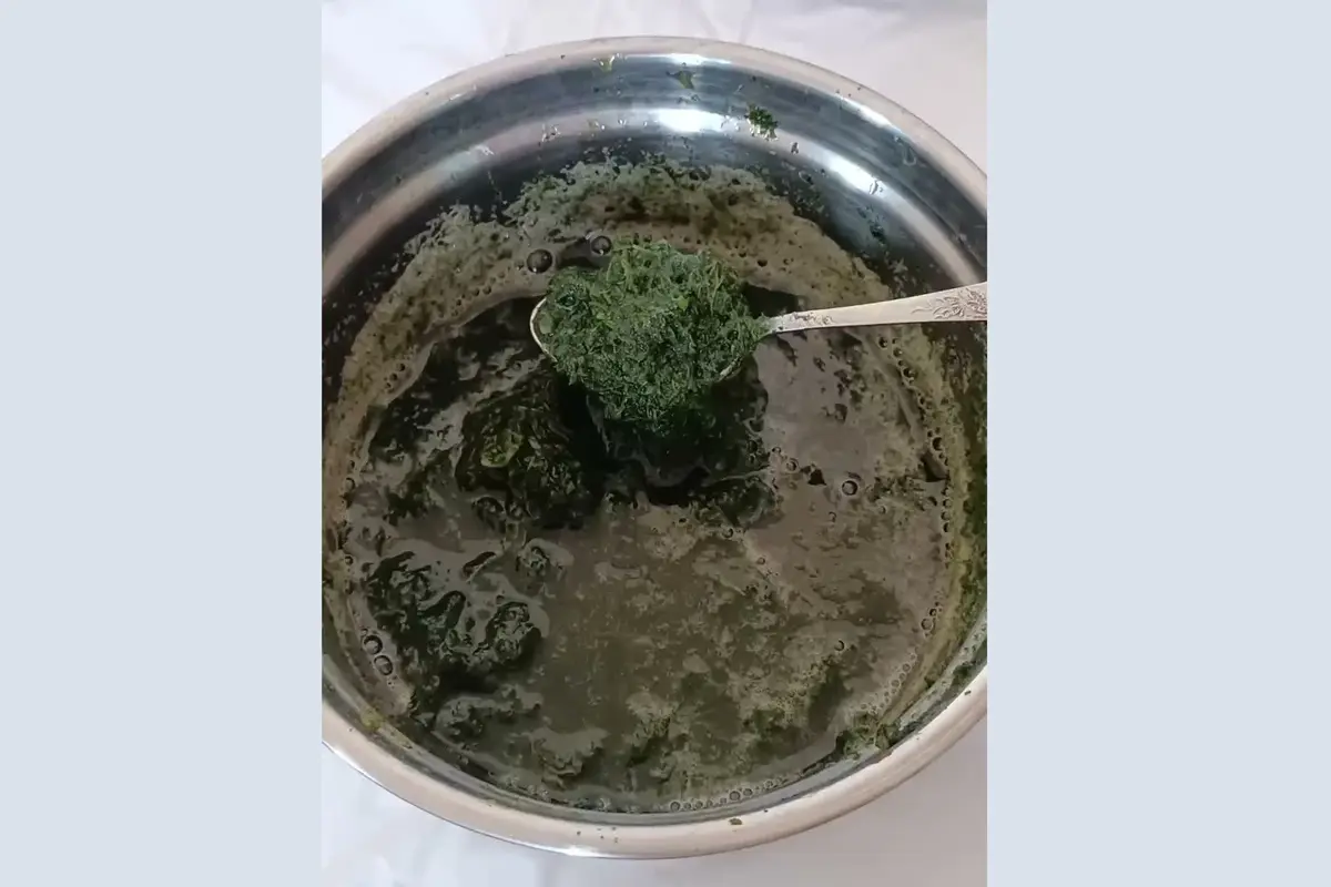 сок из крапивы