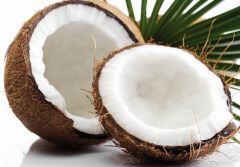 kokos-monin.jpg