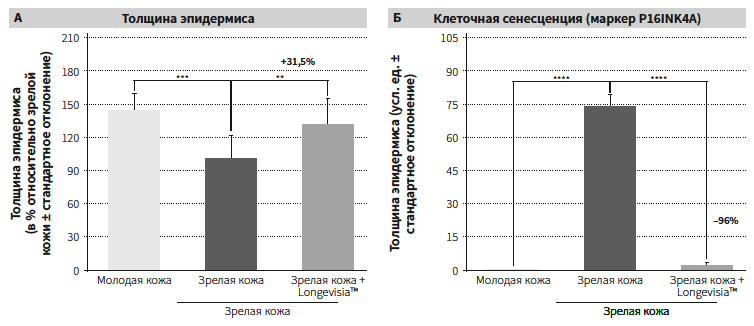 Турубара КМ 3-2026_Рис 2 Турубара КМ 3-2026_Рис 2.png