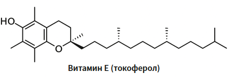 Витамин Е.png