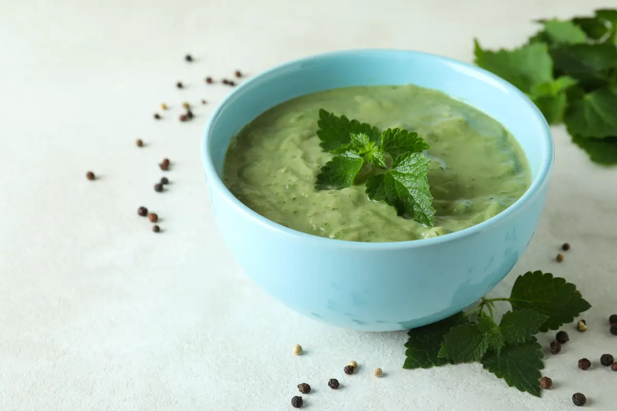 рецепт просто супа с крапивой и овощами