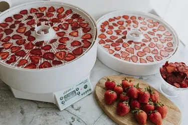 Дегидратор Ezidri Snackmaker FD500 +чем