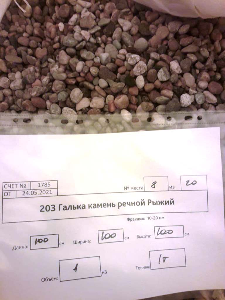 Галька рыжая
