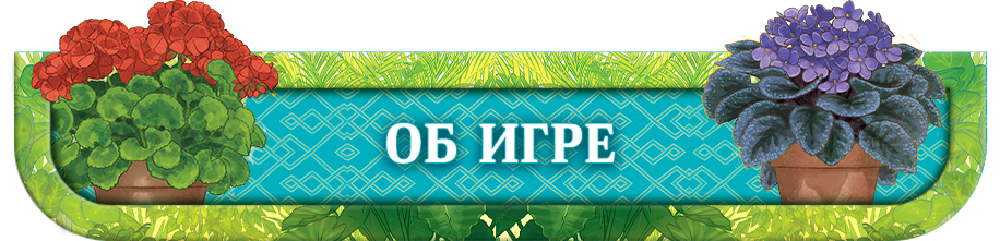 Об игре Об игре.png