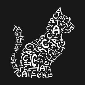 Принт Cat