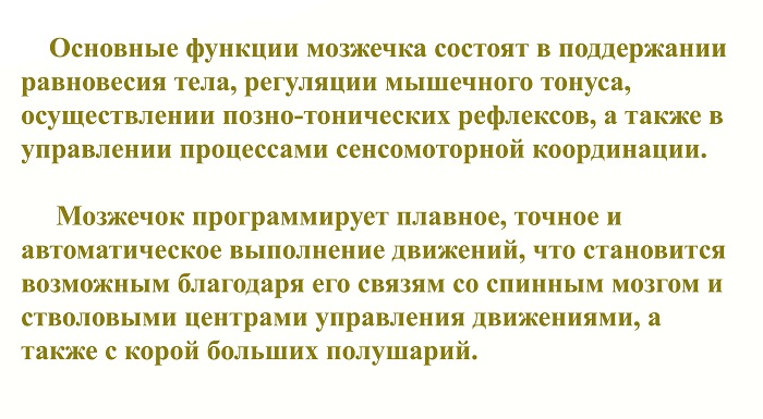 Основные функции мозжечка состоят в поддержании равновесия тела, ре&shy;гуляции мышечного тонуса, осуществлении позно-тонических рефлексов, а также в управлении процессами сенсомоторной координации. Мозжечок программирует плавное, точное и автоматическое выполнение движений, что становится возможным благодаря его связям со спинным мозгом и стволовы&shy;ми центрами управления движениями, а также с корой больших полушарий.