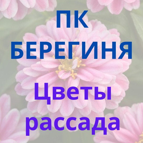 Рассада цветов. Однолетники. Черенки  вегетативных цветов.