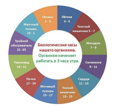 меридианы.jpg