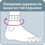 size_lodyzhka.jpg