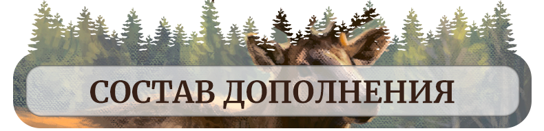 Состав игры Состав игры.png