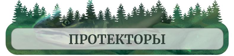 Протекторы Протекторы.png