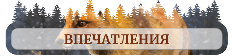 Впечатления Впечатления.png