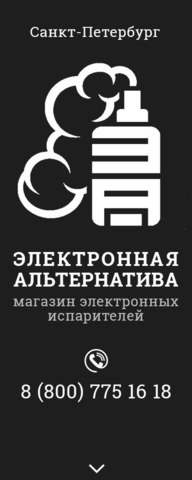 Электронная альтернатива, г. Санкт-Петербург