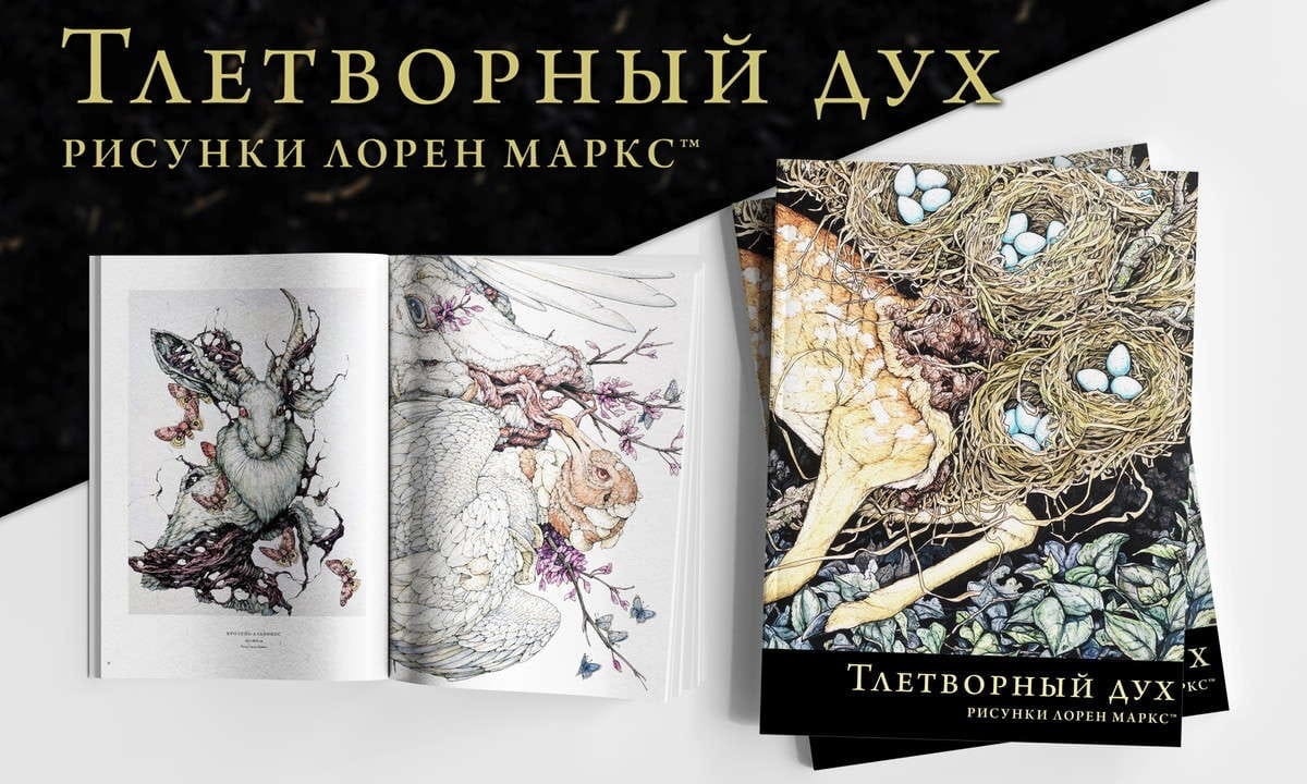 Предзаказ на наш первый артбук!