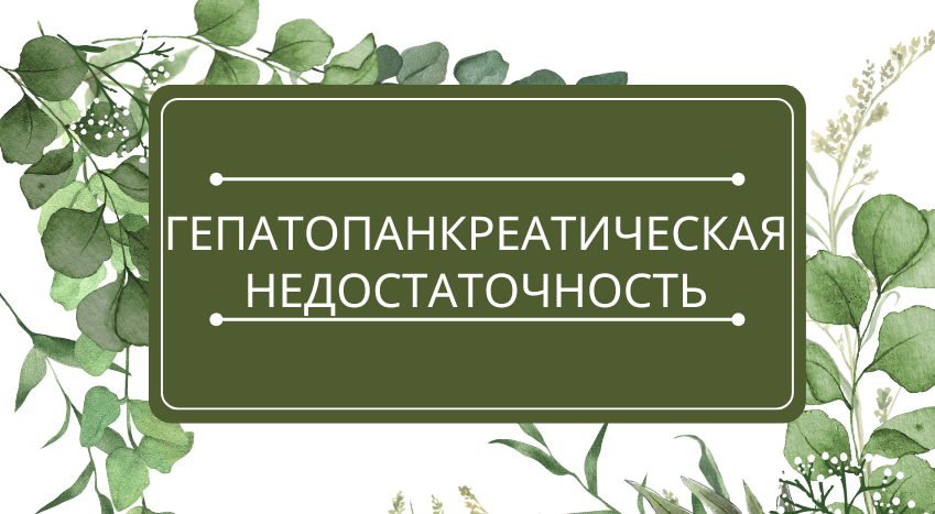 Гепатопанкреатическая недостаточность: помощь эфирных масел