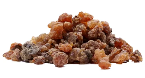 Эфирное масло мирры (Commiphora myrrha): как его правильно использовать?