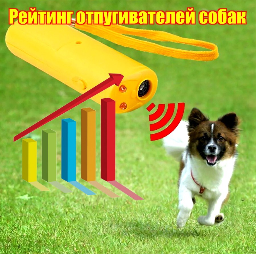 Лучшие отпугиватели собак: рейтинг самых мощных 2026 года