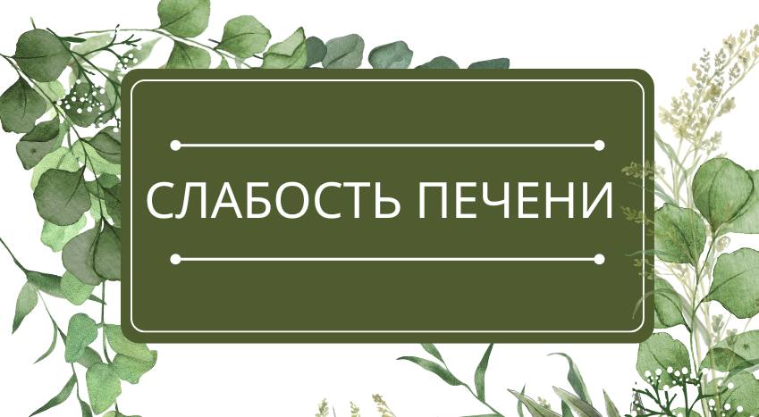 Слабость печени: помощь эфирных масел