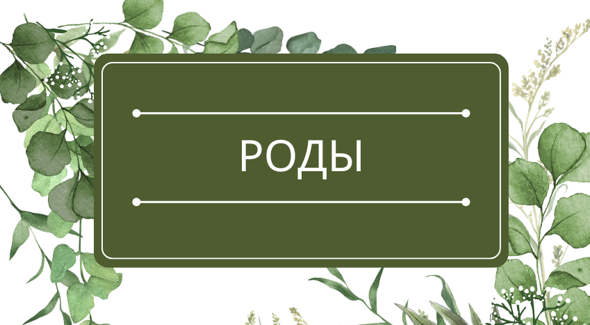 Роды: помощь эфирных масел
