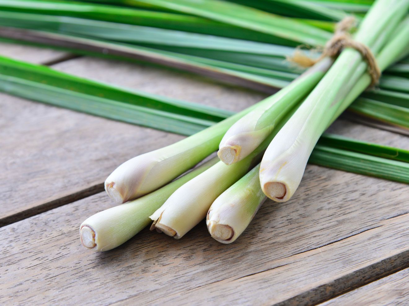 Эфирное масло лемонграсса (Cymbopogon flexuosus): как его правильно использовать?