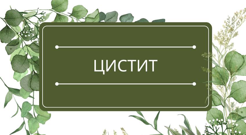 Цистит: помощь эфирных масел