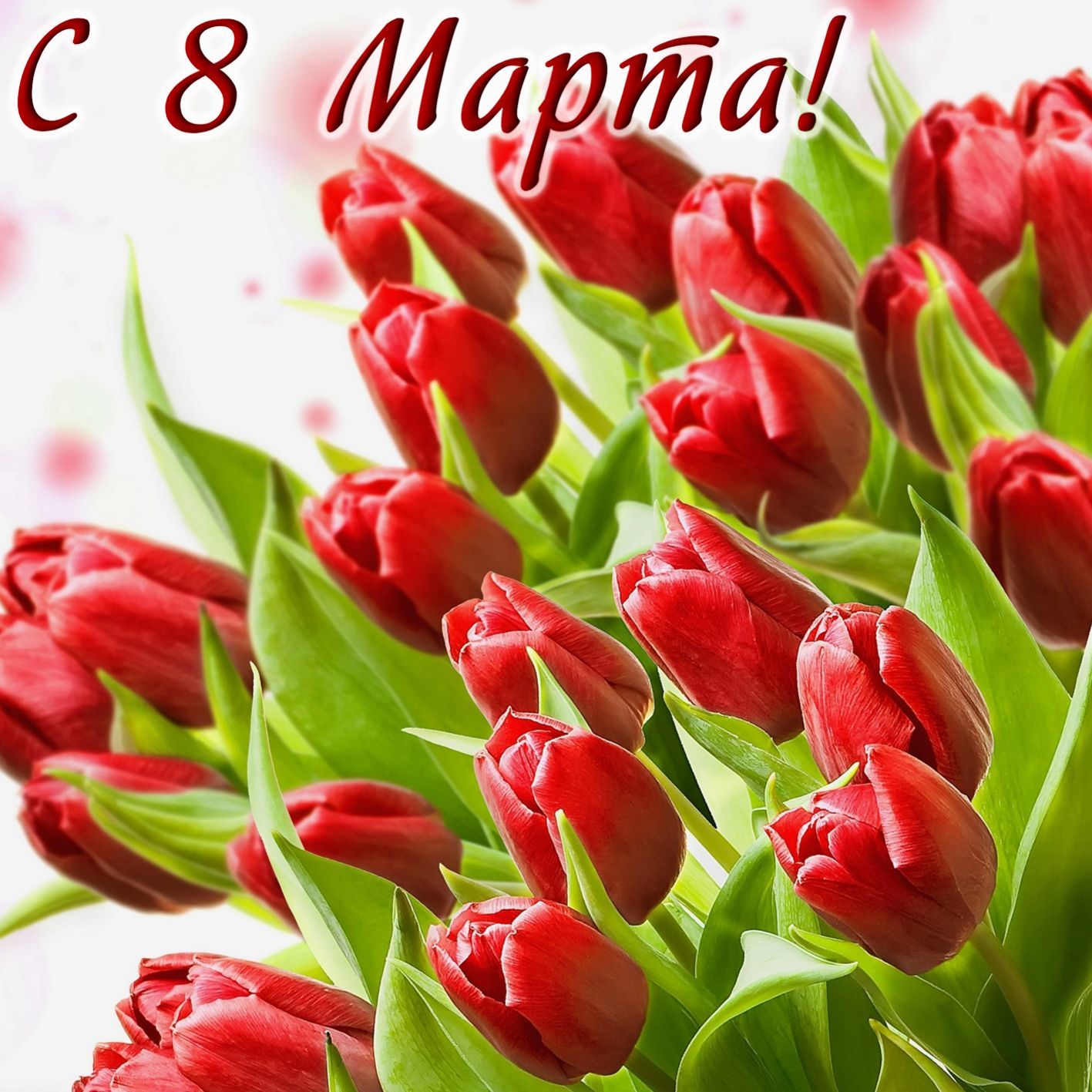 ПОЗДРАВЛЯЕМ С 8 МАРТА!