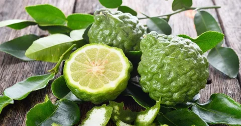 Эфирное масло комбавы (Citrus hystrix): как его правильно использовать?