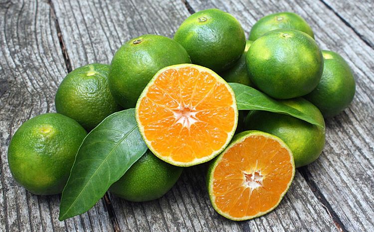 Эфирное масло зеленого мандарина (Citrus reticulata): как его правильно использовать?